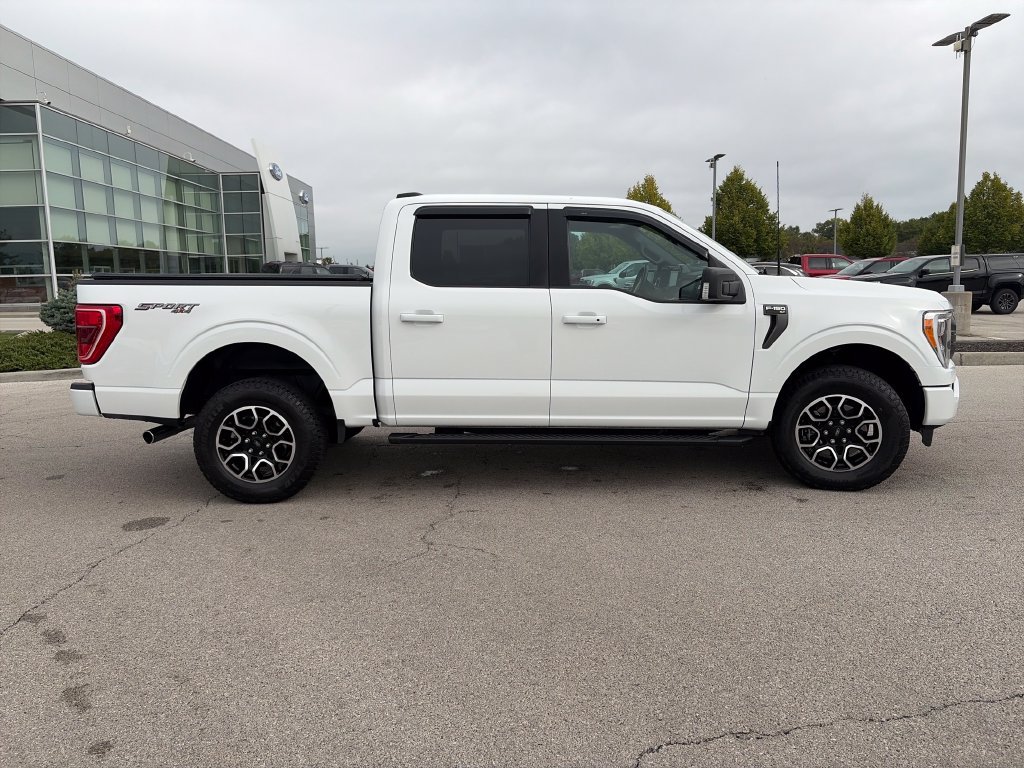 Used 2023 Ford F150 XLT w/ Equipment Group 302A High AWD/4WD image 8