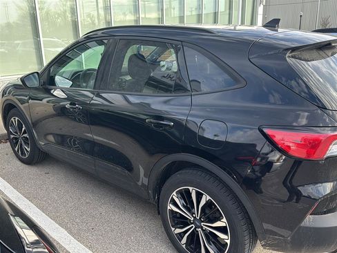 Used 2022 Ford Escape SE w/ SE Sport Appearance Package image 4
