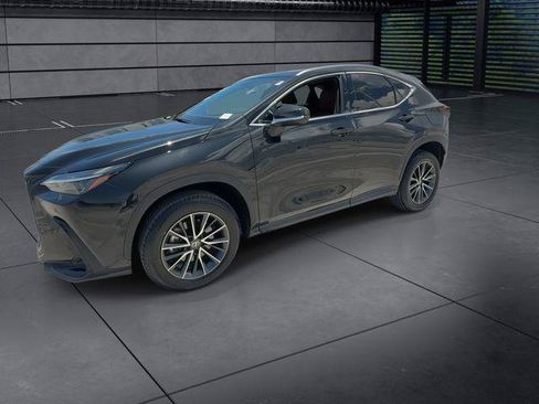 Certified 2025 Lexus NX 250 FWD w/ Cold Area Package image 4