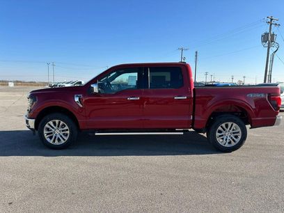 New 2026 Ford F150 XLT w/ Equipment Group 302A MID