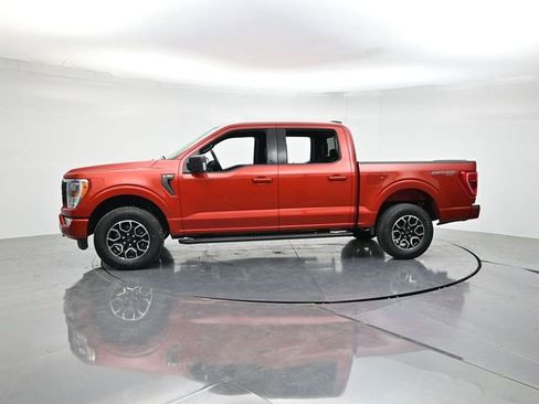 Used 2023 Ford F150 XLT w/ Equipment Group 302A High AWD/4WD image 6