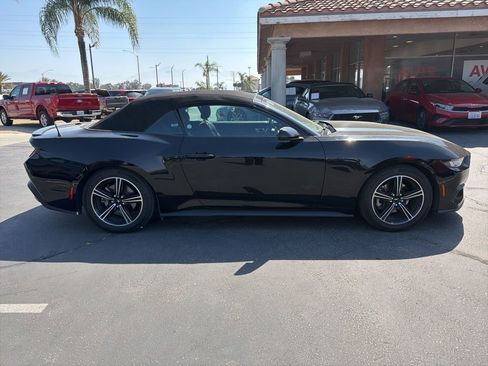 Used 2024 Ford Mustang Premium image 5