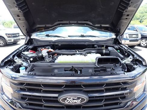 Used 2025 Ford F150 XLT w/ Equipment Group 303A High AWD/4WD image 16