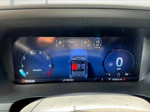 Used 2025 Ford F150 XLT w/ Equipment Group 301A Standard AWD/4WD image 5