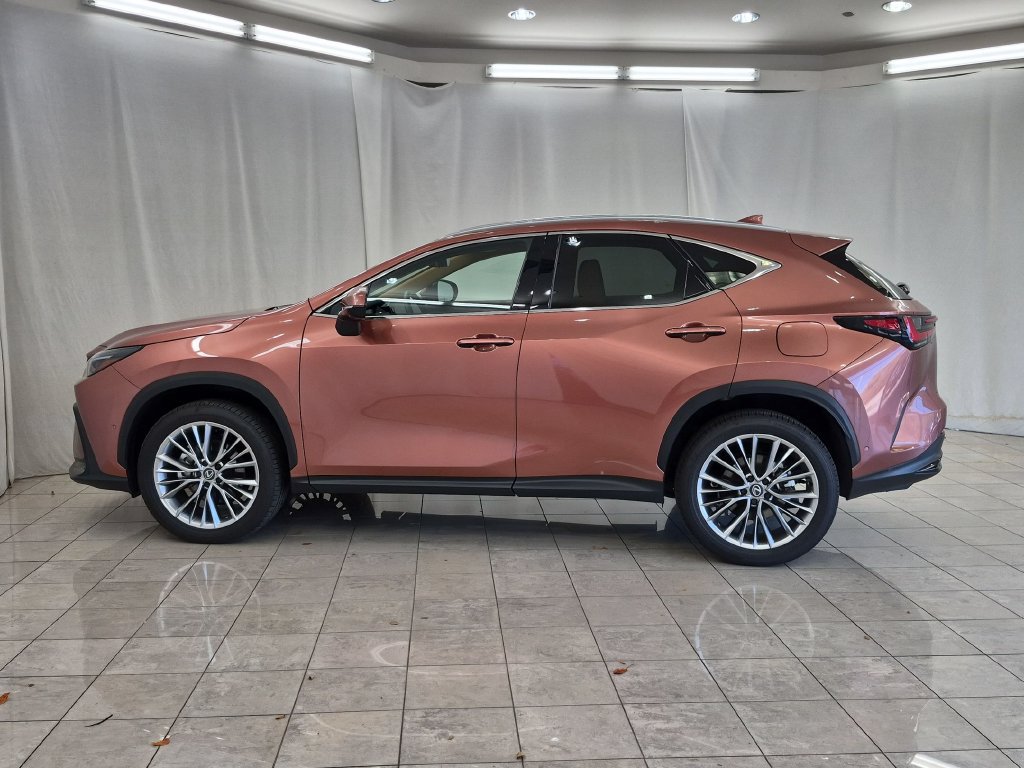 Used 2026 Lexus NX 350 AWD w/ Accessory Package (2T) image 5