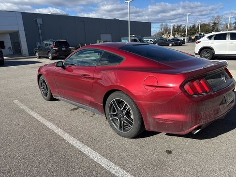 Used 2015 Ford Mustang Coupe image 5