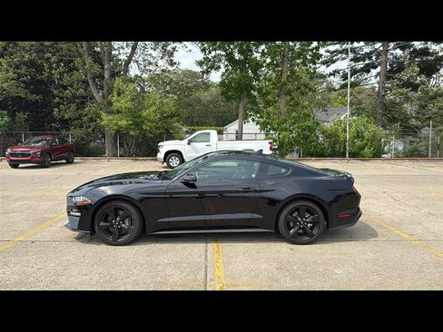 Used 2023 Ford Mustang GT Premium w/ Mustang Nite Pony Package image 3
