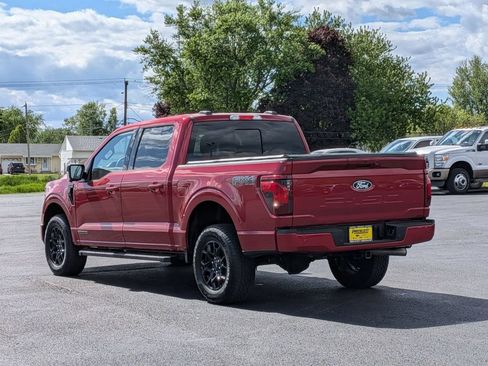 Used 2025 Ford F150 XLT w/ Equipment Group 302A MID AWD/4WD image 5