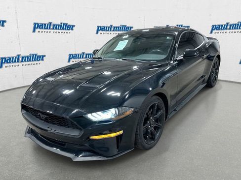 Used 2019 Ford Mustang Coupe w/ Black Accent Package image 1