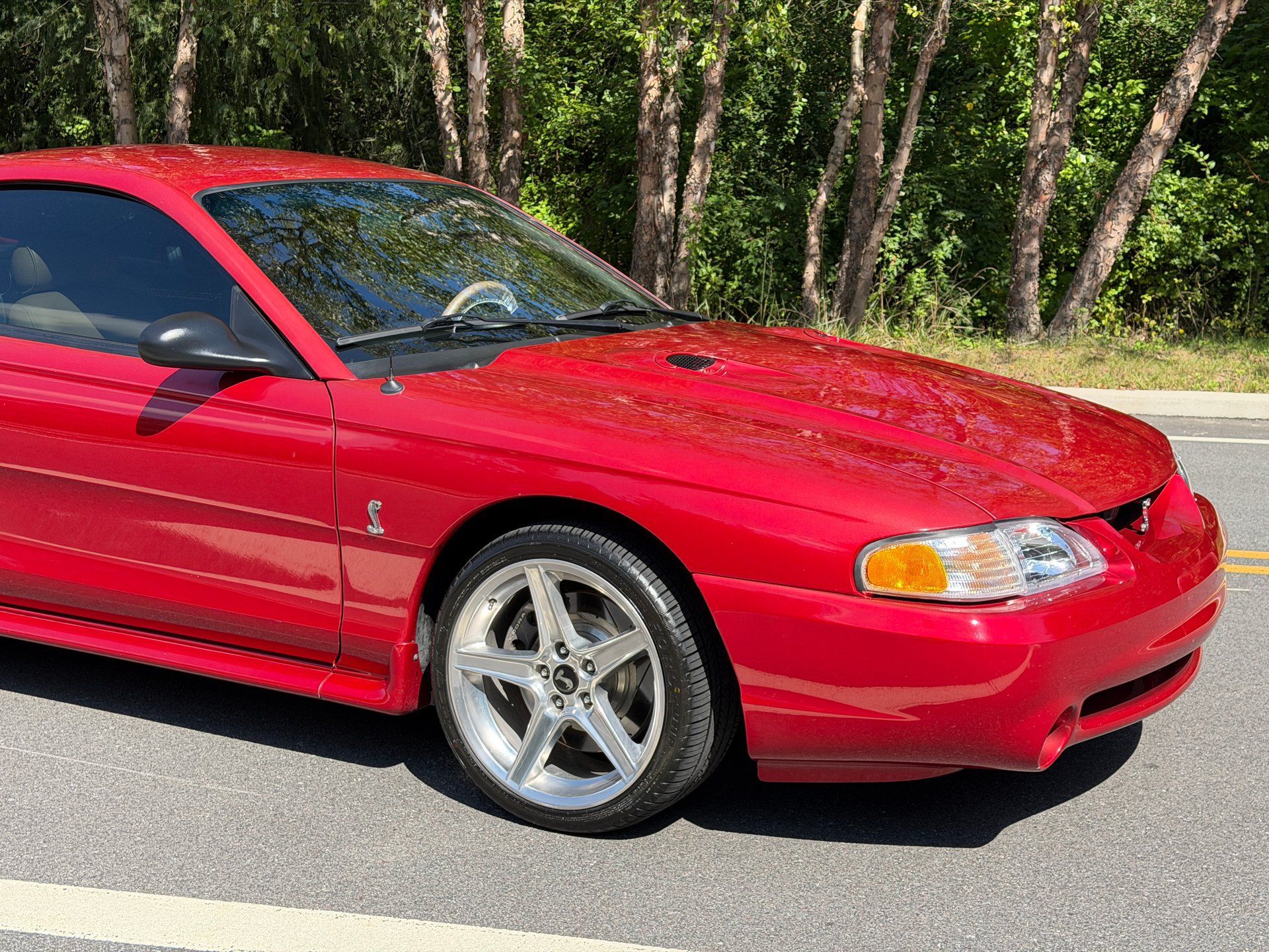 Used 1996 Ford Mustang Cobra RWD image 11