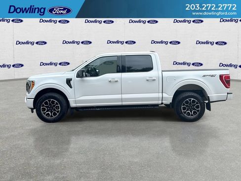 Used 2023 Ford F150 XLT w/ Equipment Group 302A High AWD/4WD image 5