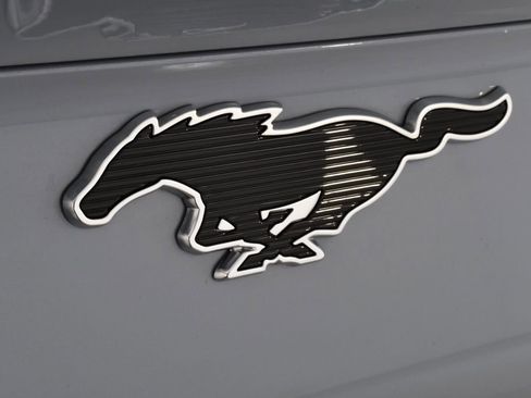 Used 2025 Ford Mustang Mach-E Premium w/ Sport Appearance Package image 21