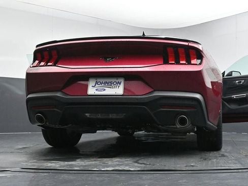 New 2026 Ford Mustang Coupe w/ Mustang Nite Pony Package RWD image 36