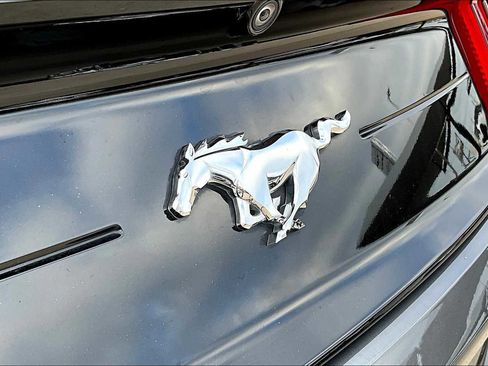 Used 2021 Ford Mustang Coupe w/ Equipment Group 101A image 43