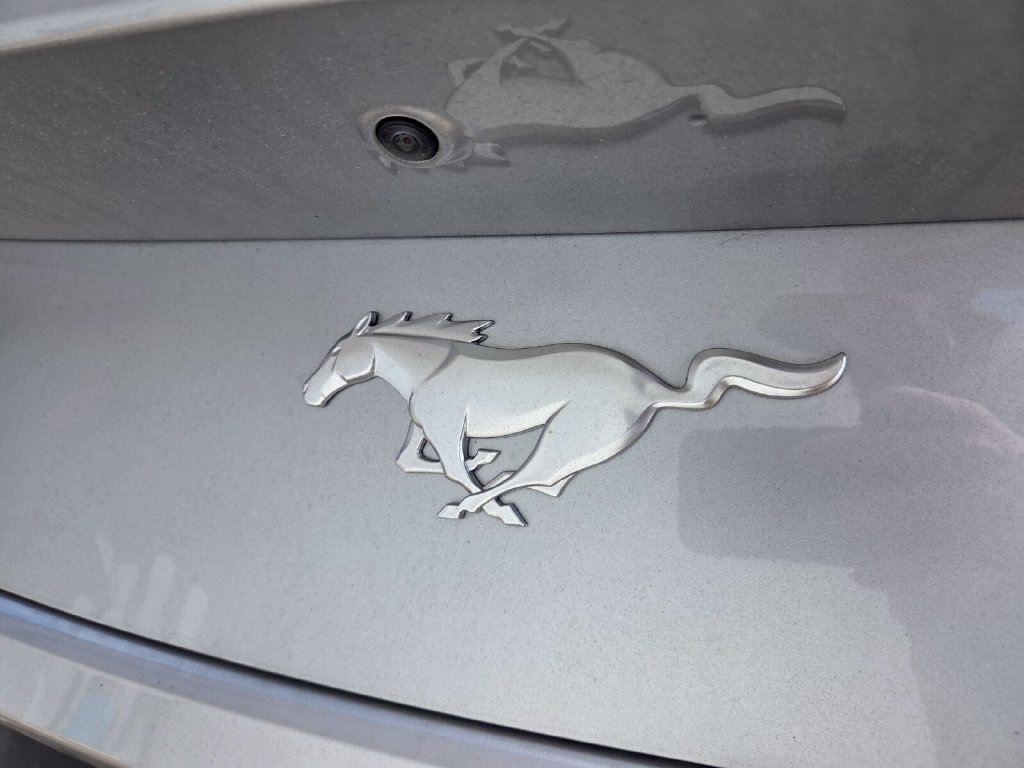 Used 2026 Ford Mustang Coupe RWD image 7
