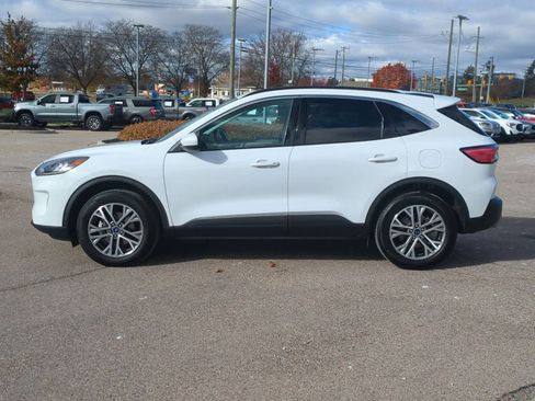 Certified 2022 Ford Escape SEL image 5