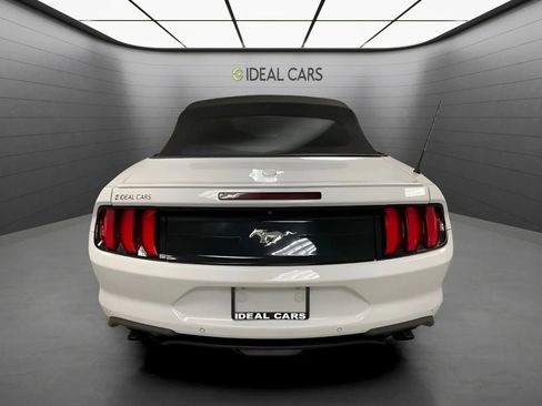 Used 2019 Ford Mustang Premium RWD image 6
