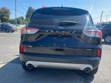 Used 2020 Ford Escape SE Sport image 6