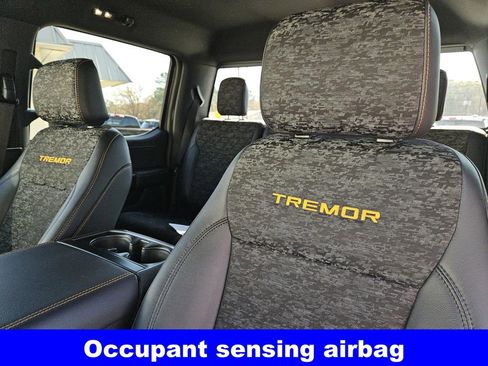 New 2025 Ford F150 Tremor image 24