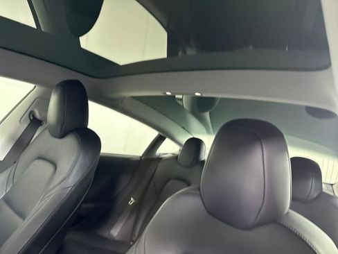 Used 2019 Tesla Model 3 Standard Range Plus image 12