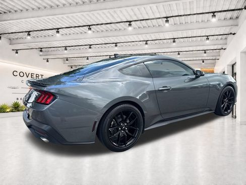 Used 2024 Ford Mustang Premium w/ Mustang Nite Pony Package RWD image 11