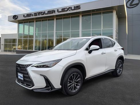 Certified 2025 Lexus NX 350 AWD w/ Cold Area Package image 7