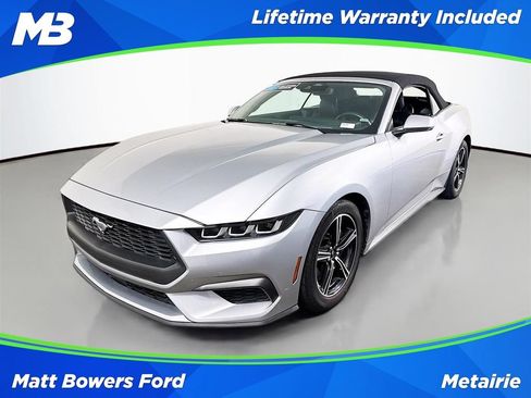 Used 2025 Ford Mustang Premium RWD image 1