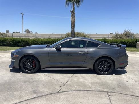Used 2019 Ford Mustang Premium w/ Ecoboost Performance Package RWD image 5