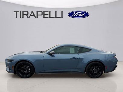 New 2026 Ford Mustang Coupe w/ Mustang Nite Pony Package