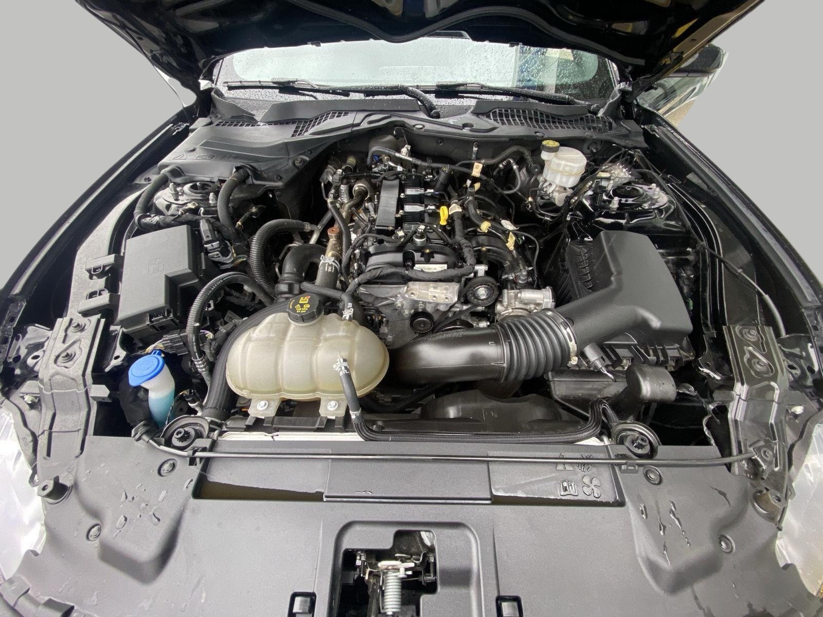 Certified 2021 Ford Mustang Premium RWD image 12