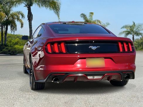 Used 2017 Ford Mustang Premium w/ Ecoboost Performance Package image 3