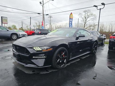Used 2019 Ford Mustang GT Premium w/ Ford Safe & Smart Package RWD image 1