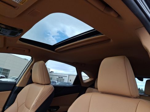 Used 2023 Lexus NX 350 AWD image 13