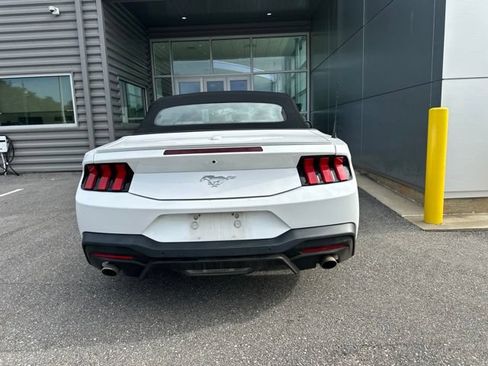 Used 2024 Ford Mustang Premium RWD image 4