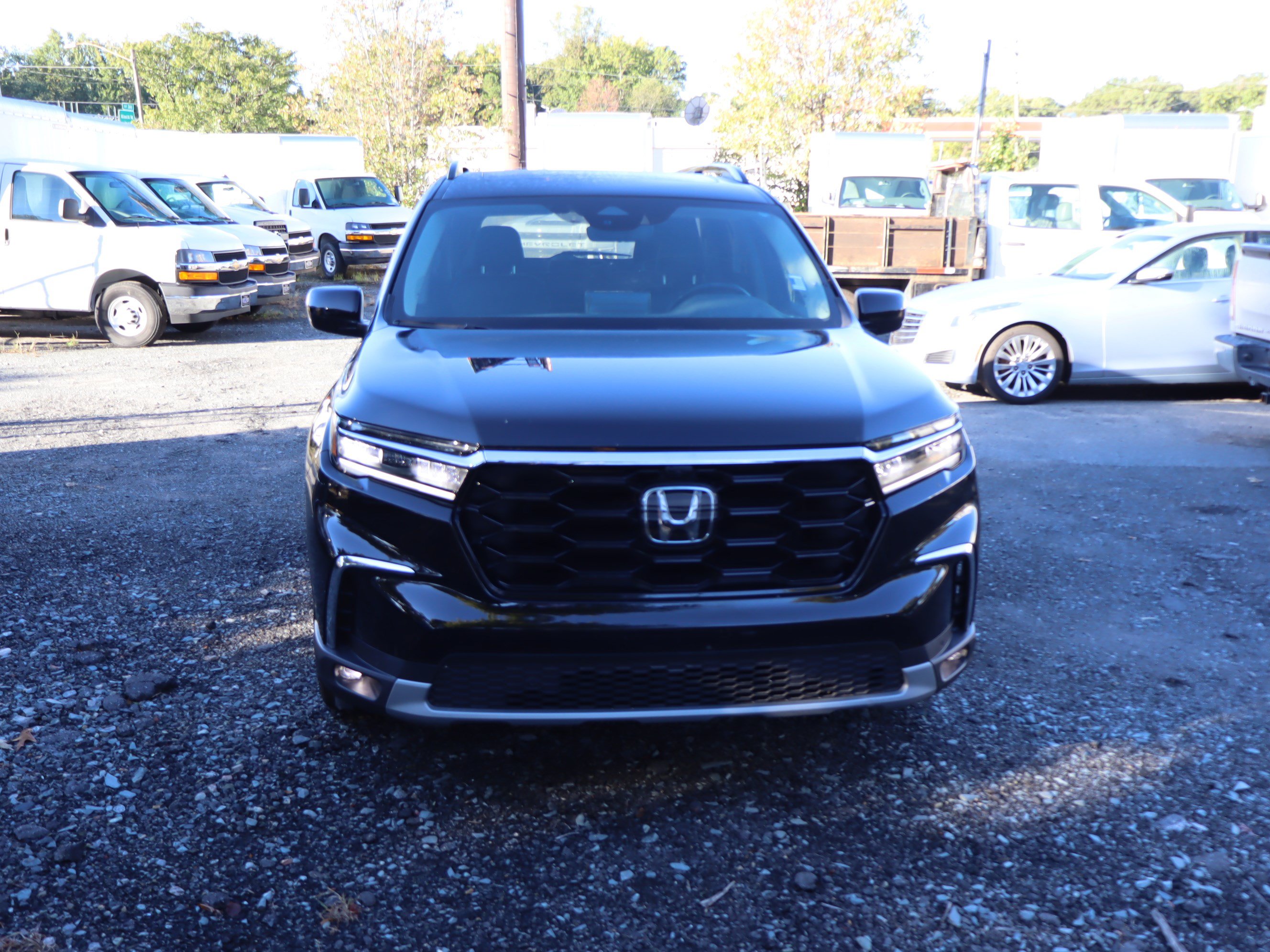 Used 2025 Honda Pilot Elite image 15