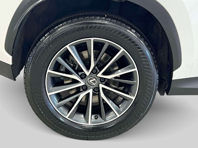 Certified 2024 Lexus NX 250 FWD w/ Cold Area Package image 8