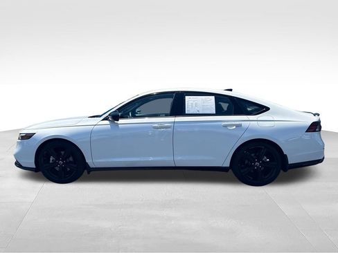 Used 2025 Honda Accord Sport image 2