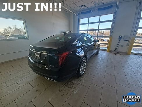 Used 2023 Cadillac CT5 Luxury image 5