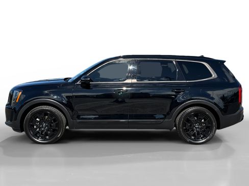 Used 2022 Kia Telluride SX w/ SX Prestige Package AWD/4WD image 2