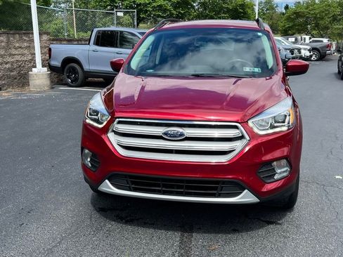 Used 2019 Ford Escape SEL AWD/4WD image 10