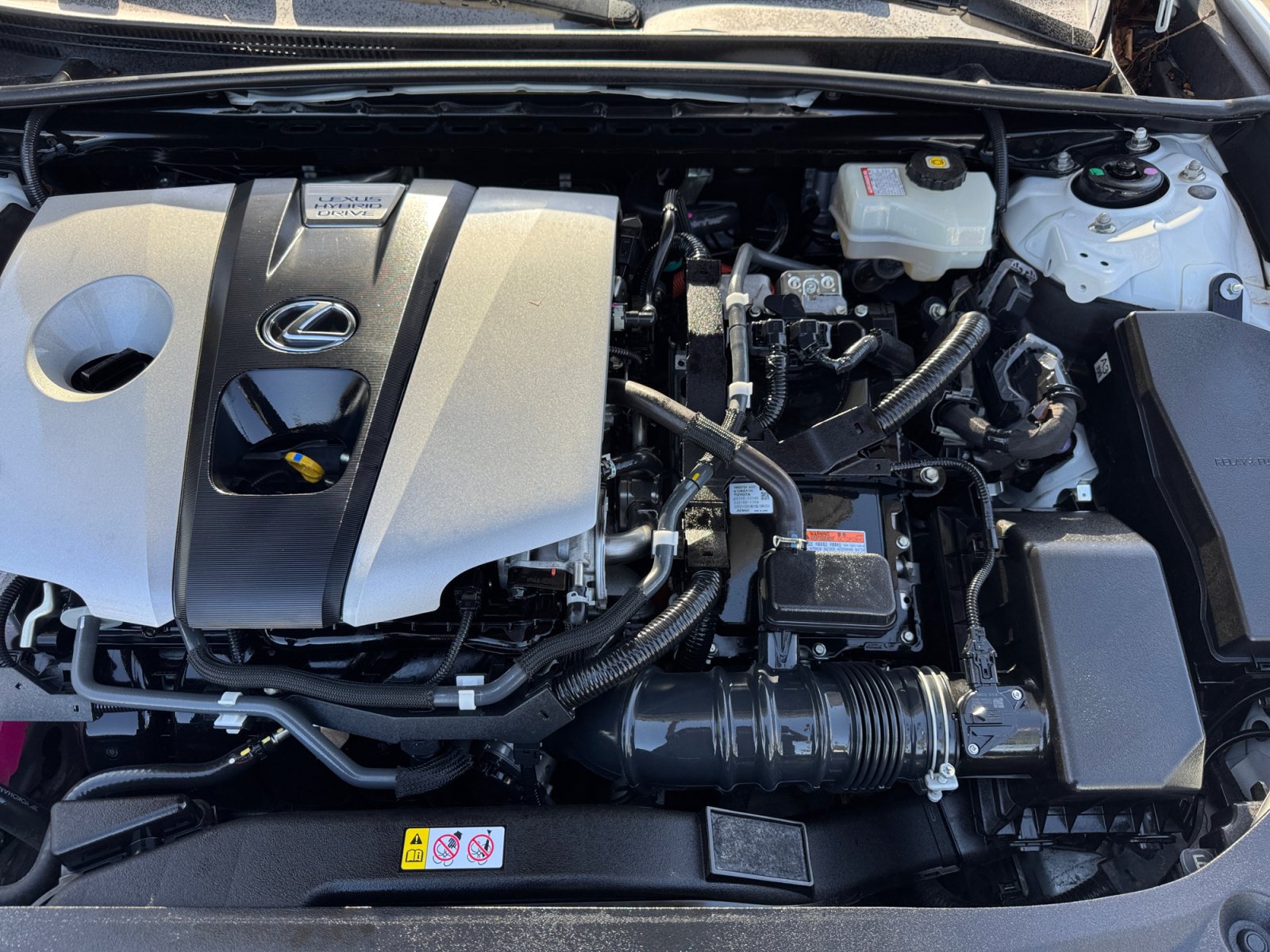 Used 2019 Lexus ES 300h w/ Premium Package FWD image 18