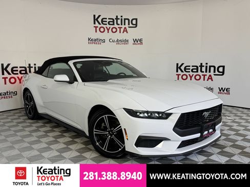 Used 2025 Ford Mustang Premium RWD image 2
