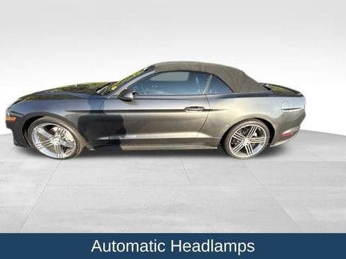 Used 2018 Ford Mustang Premium w/ Equipment Group 201A RWD image 4