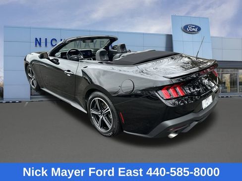 Used 2025 Ford Mustang Premium image 6