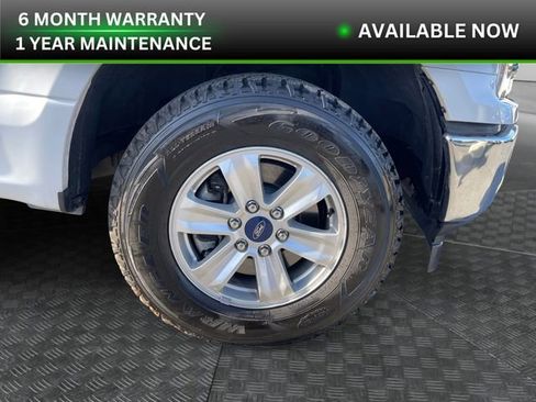Used 2019 Ford F150 XLT w/ Equipment Group 301A Mid image 36