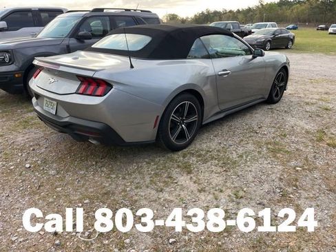 Used 2024 Ford Mustang Premium image 2