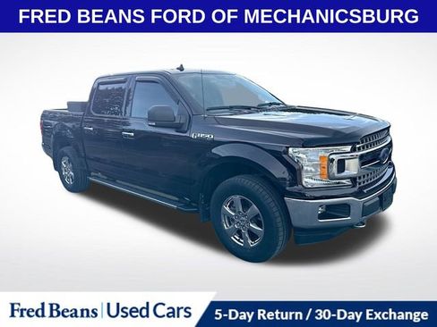 Certified 2019 Ford F150 XLT w/ Equipment Group 302A Luxury image 1