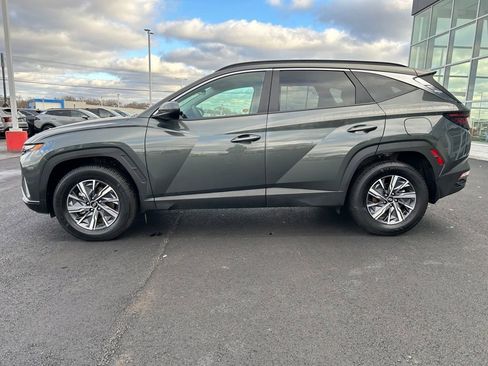 Used 2024 Hyundai Tucson Blue image 4