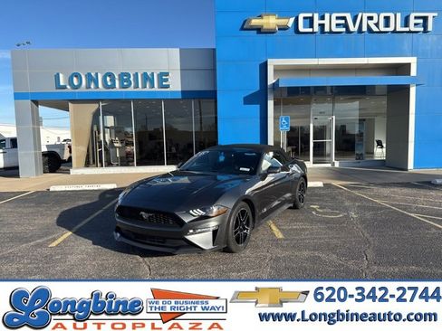 Used 2018 Ford Mustang Premium w/ Equipment Group 201A image 1