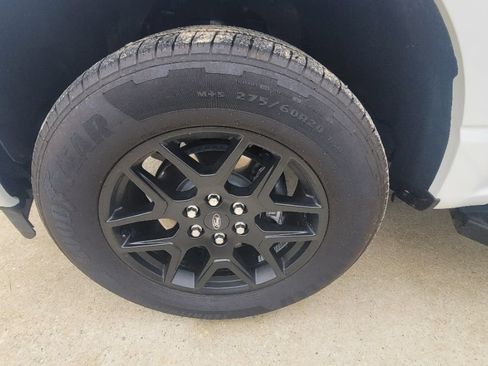 Used 2024 Ford F150 STX w/ STX Black Appearance Package RWD image 30